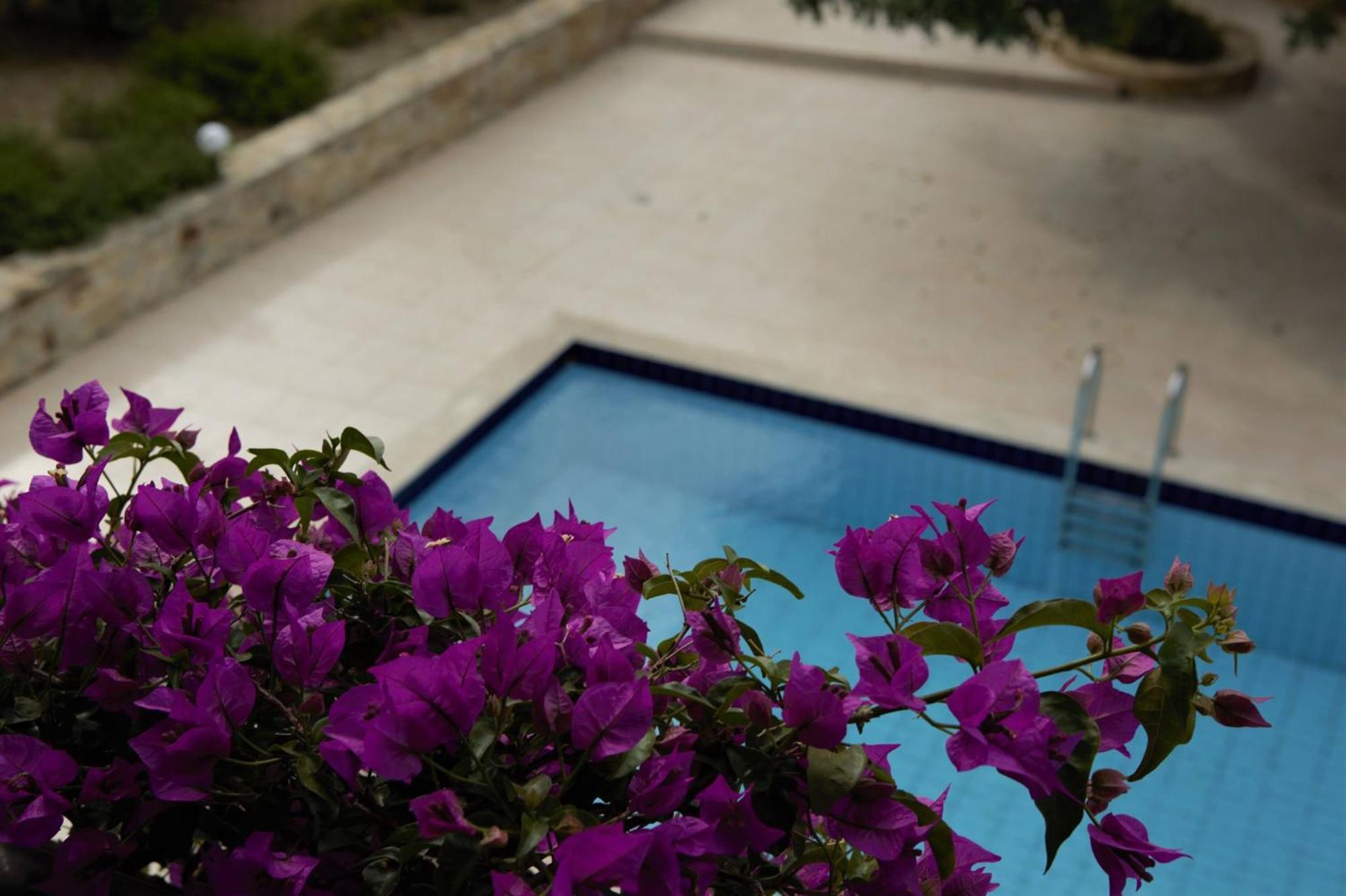 Douliana Villas Exteriér fotografie
